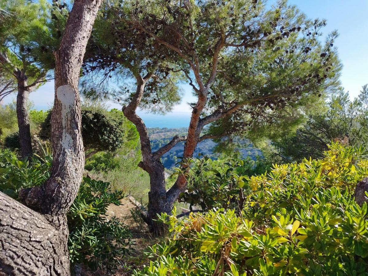 卡西斯Sweet Calanque - Host Provence公寓 外观 照片